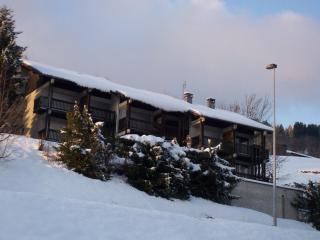 Studio cosy près des pistes avec garage privé - FR-1-623-28 - Les Gets - 2