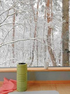 Hakuba Arboretum — Luxury Chalet in Forest Setting - 5