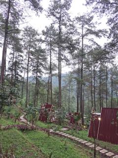 Locca Lodge - Mojokerto - 4