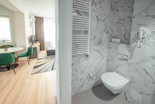 Amazing Cozy and Lovely Studios and Apartments Q Residence Iasi - Iaşi - 2