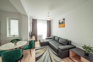 Amazing Cozy and Lovely Studios and Apartments Q Residence Iasi - Iaşi - 9