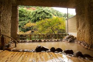 Arima Onsen Gekkoen Korokan - Kobe - 6