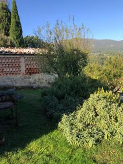 Podere Santamargherita - Cetona - 6