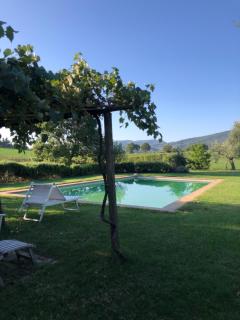 Podere Santamargherita - Cetona - 9