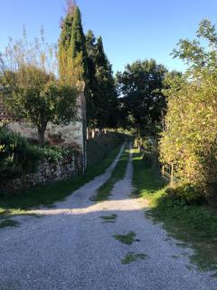 Podere Santamargherita - Cetona - 5