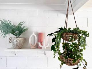 Palm Springs Oasis in Bateau Bay - Bateau Bay - 1