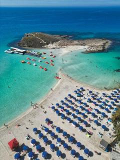 Vassos Nissi Plage Hotel & Spa - Ayia Napa - 2