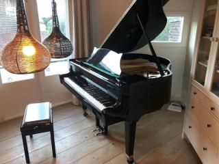Nice apartment next to the beach - Scheveningen - 4
