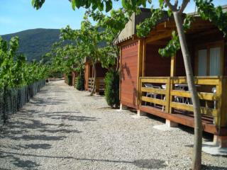 Cabañas y Bungalows La Falaguera - Bárig - 9