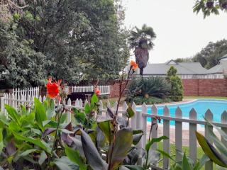 Lesedi Guesthouse Middleburg - Middelburg - 7