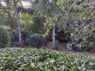 Maison à l'Ermitage - La Saline-Les-Bains - 6