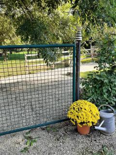 Ferienwohnungen "Zum Lochfeld" - 1