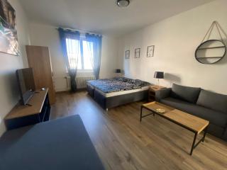 Černá Růže - Apartmán 4 - Plzeň - 9