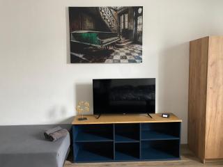 Černá Růže - Apartmán 4 - Plzeň - 5