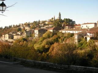 Les Marronniers du Luberon - Reillanne - 8