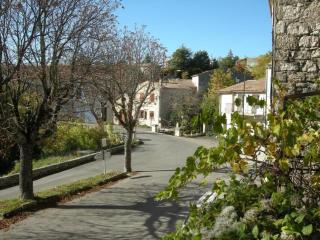 Les Marronniers du Luberon - Reillanne - 9
