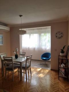 Cozy Central Apartment next to Bus and Train Station - Podgorica - 4