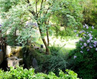 Charming 200 yr old Mill House right on the water - 6