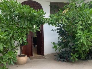 Nungwi Retreat - 1