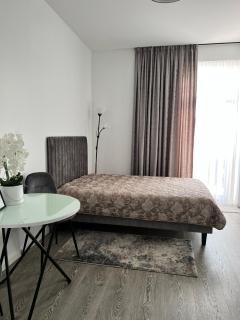 Arena apartment - Kaunas - 6