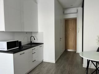 Arena apartment - Kaunas - 3