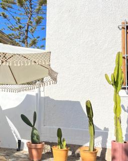 La Posada Coliving - Viña del Mar - 0