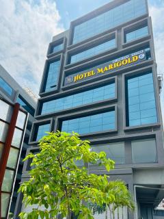 Hotel Marigold Naroda - Ahmedabad - 7