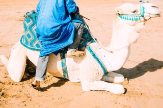 Oasis Luxury Camp - Merzouga - 5