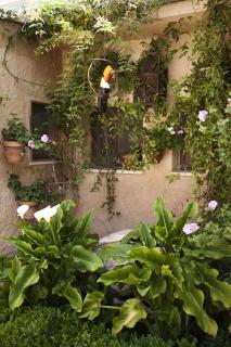 Casa Rural El Simarro - El Simarro - 9