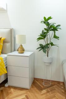 Stan na dan Golden apartman - Zaječar - 4