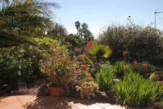 Casita las Pincoras - El Paso - 0