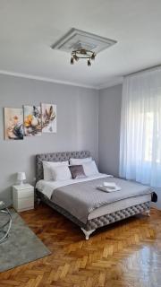 Apartment Nataly - Vračar (historical) - 8