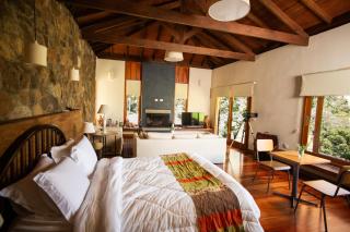 Chalé Leopoldo-Nas Nuvens - 6