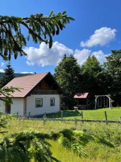 Vikendica Jovanovic - Bajina Bašta - 2