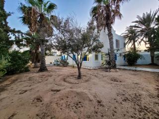 Maison Nassif - Djerba - 5