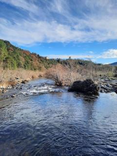 Sud Ardeche joli chalet clim piscine rivière LE CERF Village du serre - 3
