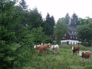 Pension Haus Pentacon - Kurort Altenberg - 2