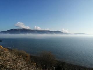 The Oystercatcher - Rostrevor - 5