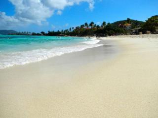 Sapphire del Mar B-106 Ocean Front Beach Level - St Thomas - 3
