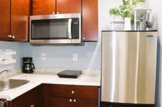 Luxury Studio Suite close to Tampa Airport - 3