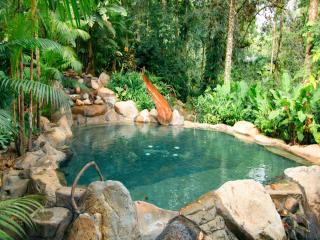 Chachagua Rainforest Hotel & Hot Springs - Fortuna - 8