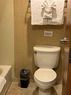 Comfort Inn & Suites Ocean Shores - Ocean Shores - 5