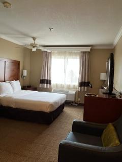 Comfort Inn & Suites Ocean Shores - Ocean Shores - 1