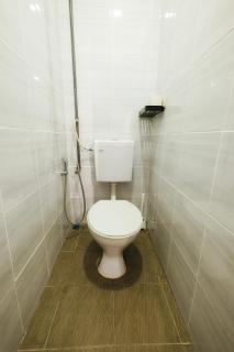 monstera guesthouse (Lenggong) - Kampong Ulu Jepai - 2