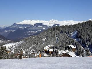 Charmant 2 pièces - 100m des pistes, proche commerces - FR-1-180-604 - Les Allues - 8