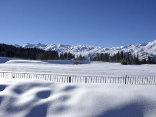 Charmant 2 pièces - 100m des pistes, proche commerces - FR-1-180-604 - Les Allues - 7