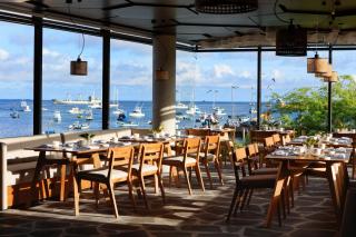 Hotel Indigo - Galapagos by IHG - 3