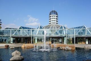 Hotel The Grang Jungmun - Seogwipo - 6