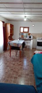 Calendulas del Cabo - Trevelin - 7