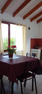 Calendulas del Cabo - Trevelin - 1